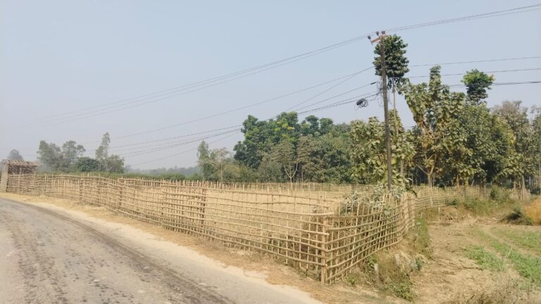 2025 01 06 at 13.52.49 768x432