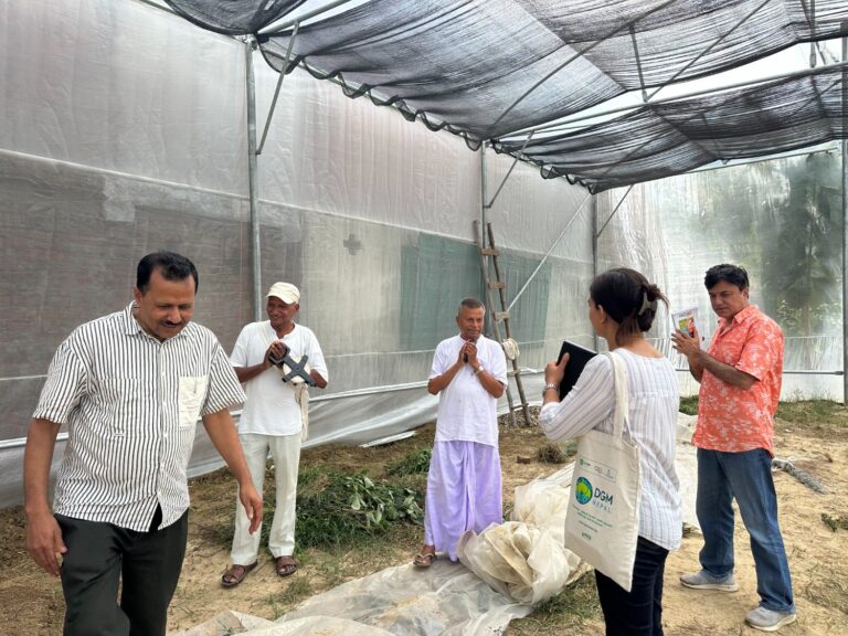 IMG 1001 copy 768x576