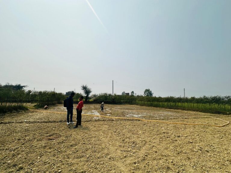 WhatsApp Image 2025 03 09 at 13.31.02 02d581b0 768x576